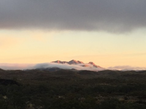 Larapinta Trail