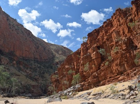 Larapinta Trail