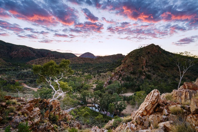 The Larapinta Trail