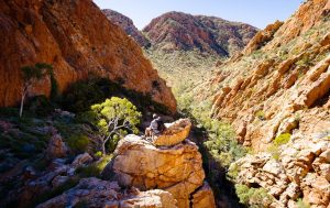 The Larapinta Trail