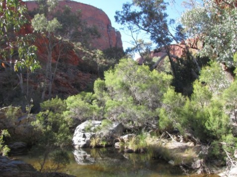 Larapinta Trail