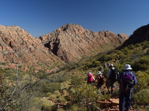 Larapinta Trail